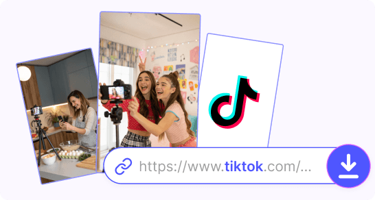 TikTok Downloader