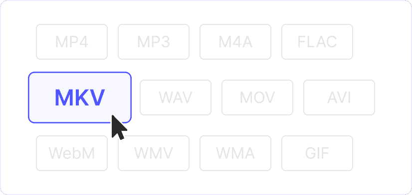 2. Choose MKV output