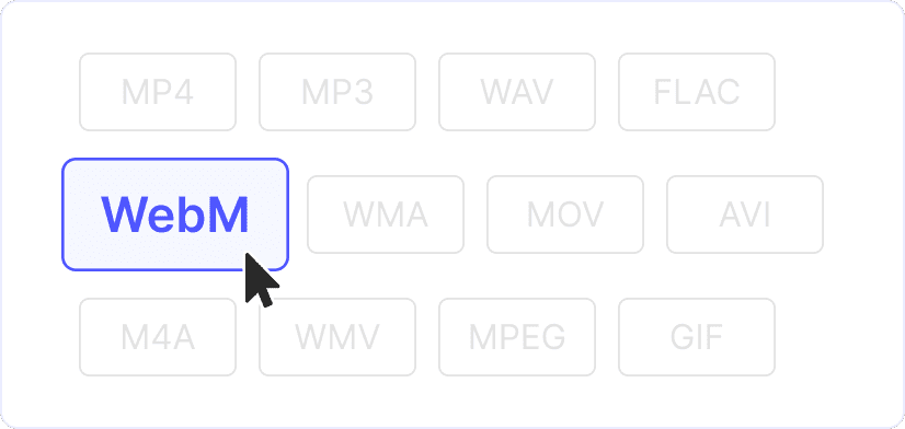 2. Pick WebM settings